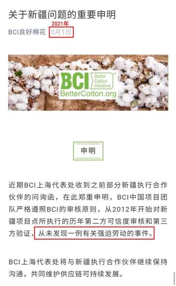 BCI组织