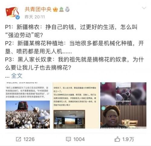 bci组织是什么意思,bci组织是什么-