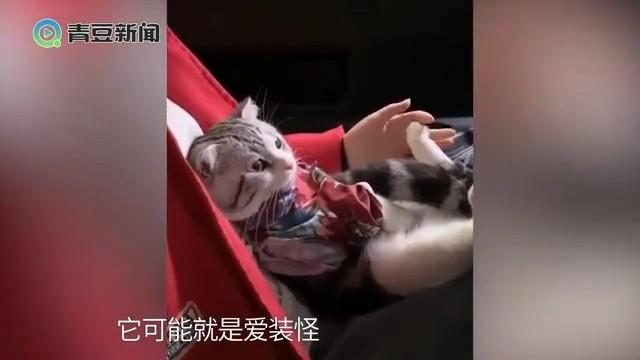 影片剧照
