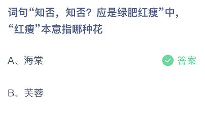 绿肥红瘦指的是什么花