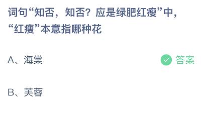 绿肥红瘦指的是什么花