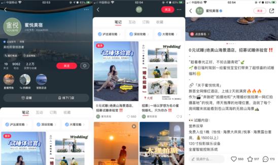 庄军专栏|拆解300家红宝书企业 发现这些营销套路