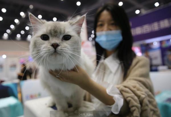 郑州水族工程 郑州水族工程（郑州水族馆） 动物