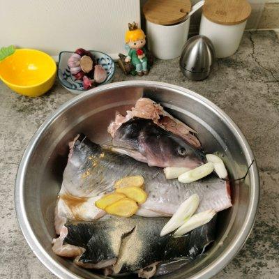 清江鱼无鱼鳞
