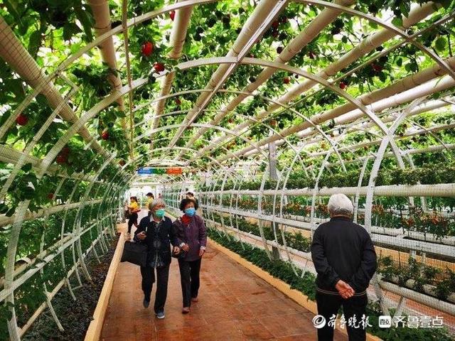 潍坊滚筒螺旋洗砂机价格