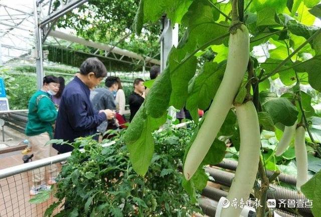 潍坊滚筒螺旋洗砂机价格