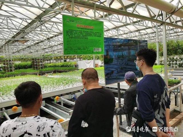 潍坊滚筒螺旋洗砂机价格