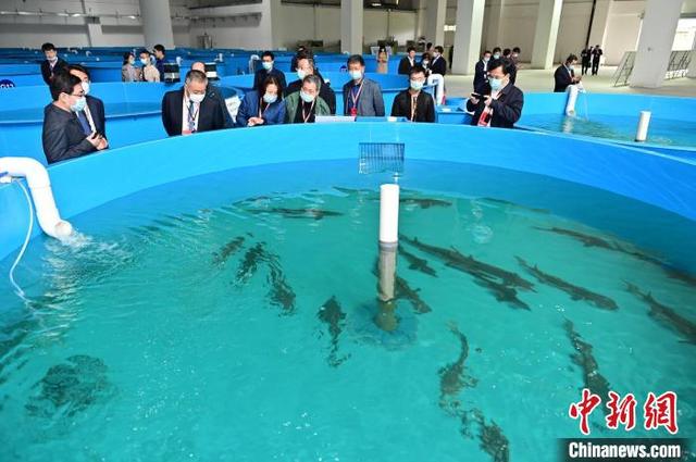 三峡工程中国展