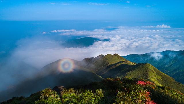 青州风化砂洗砂机怎么卖