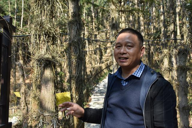杭州玄武岩制砂机