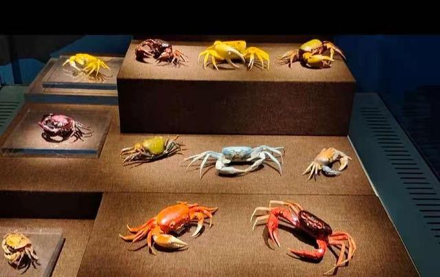 小型深圳机械展