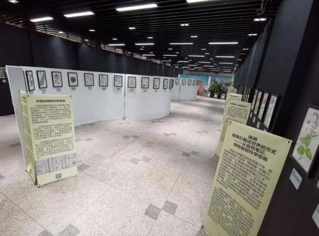 酒店工程展康乃馨展厅制作