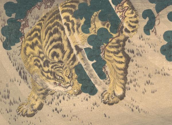 逃之遥遥全文阅读（逃之遥遥小说）