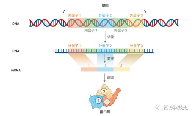 吐鲁番正品螺旋洗砂机哪家强