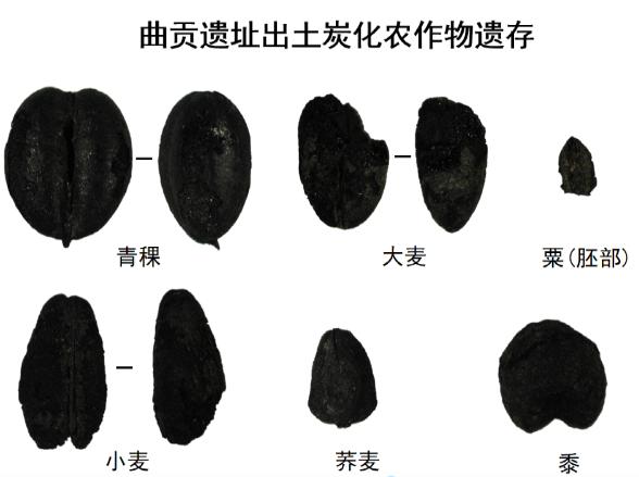 昌都制砂机厂家
