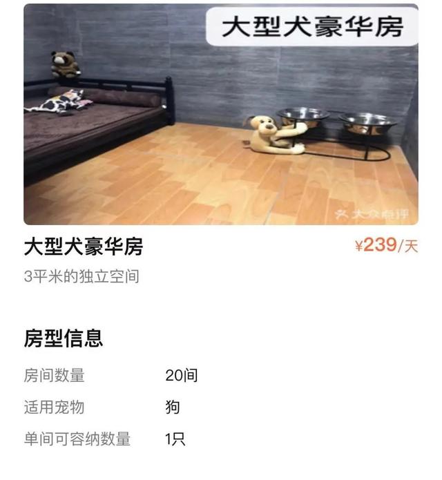 上海宠物用品