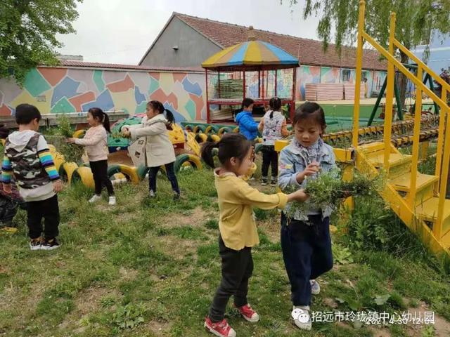 “争做劳动小能手”——玲珑镇中心幼儿园劳动节系列活动精彩纷呈