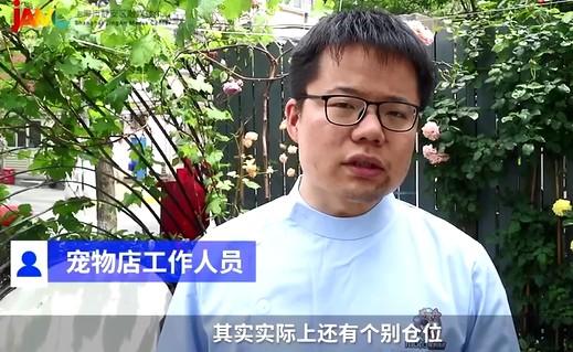 上海宠物用品