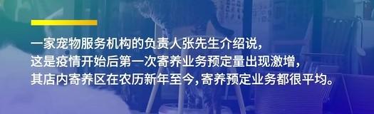 上海宠物用品