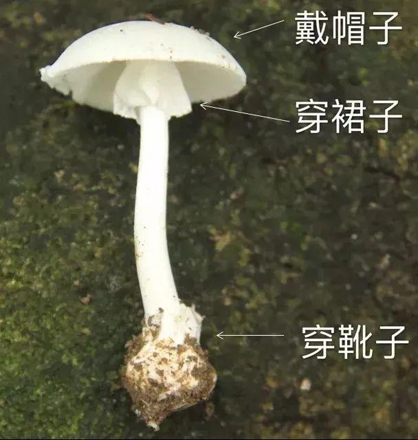 关于湘潭洗砂脱水一体机的信息