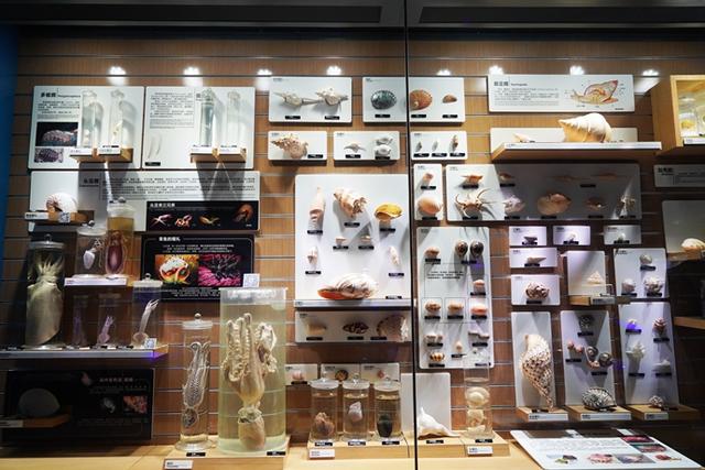 口腔医学博物馆展陈工程