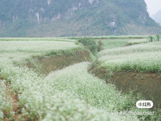 喀什四联洗砂机