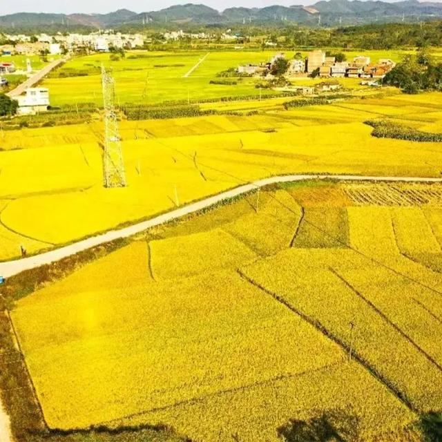 喀什四联洗砂机