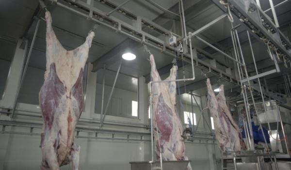 广州宏展工程咨询