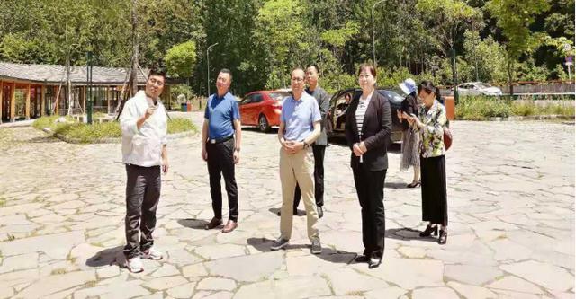 陇县6000年印迹展装饰工程