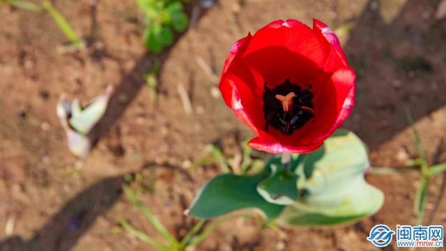 61儿童节说说朋友圈（六一儿童节美好的寄语简单）
