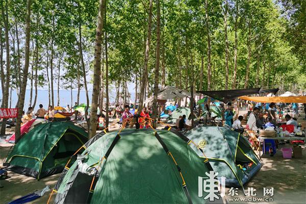 鹤岗鹅卵石制砂机价格