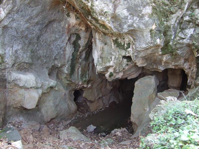 弘景创展工程建设