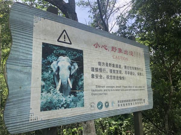 普洱挖斗洗砂机租赁找哪家