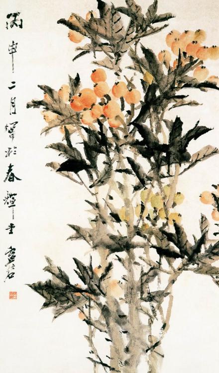 枇杷季节 枇杷季节