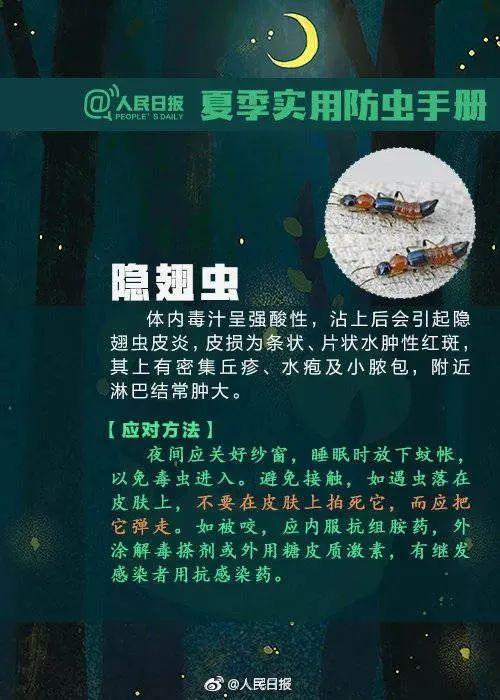 狗豆子