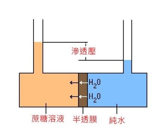 包含核汇过滤机的词条