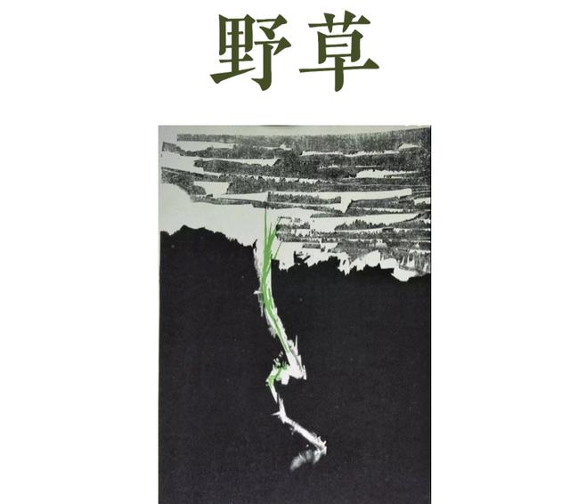 为了忘却的记念:一百年前的“00后”,用墨与血书写了一个时代