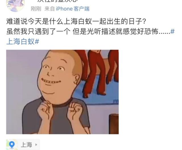 灭白蚁