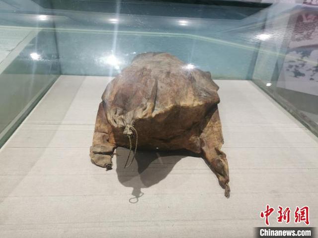 展陈工程劳务费用占比