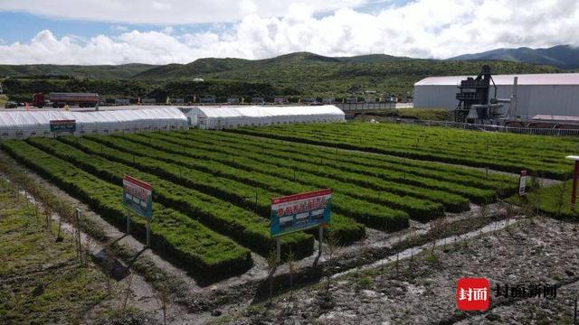 青海冶金压滤机价格