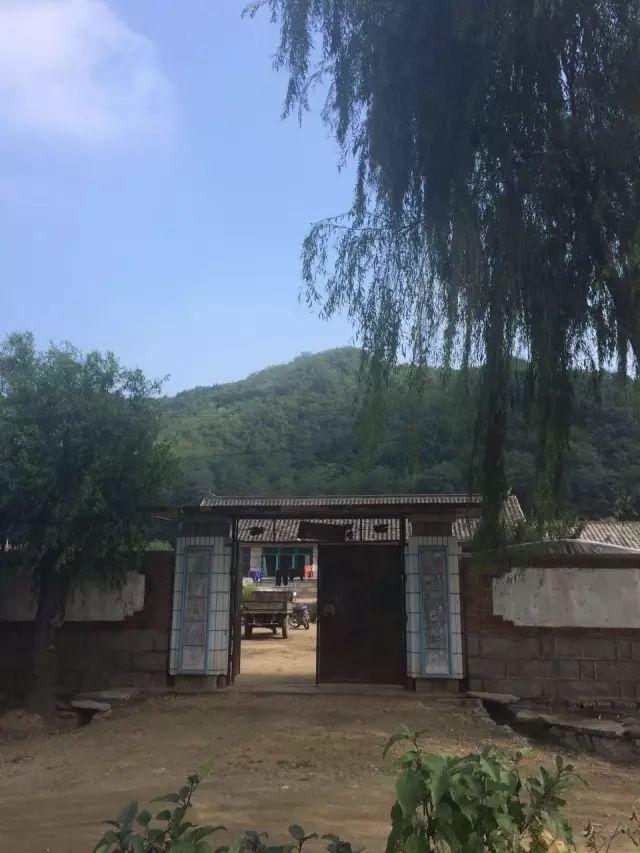 营口立轴制砂机