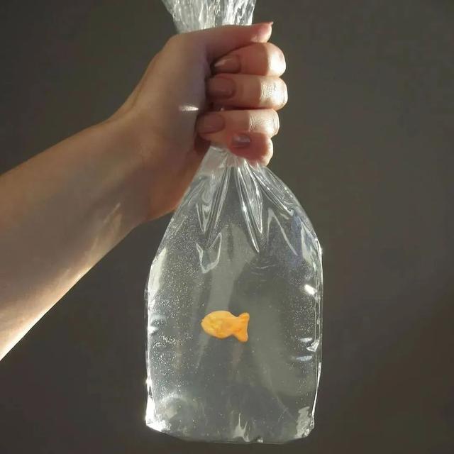 奶油人体 奶油人体