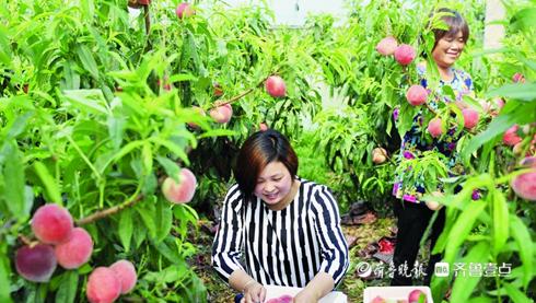 温室工程展
