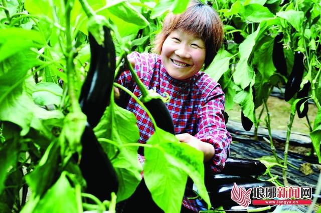 幸福工程23年记录展
