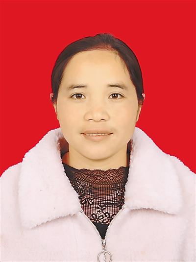 河北万全生产的六九破碎机多重