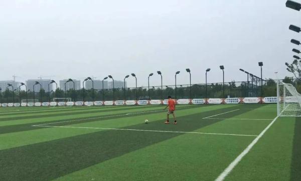 郑州有什么好玩的地方适合小孩子(郑州最值得去的景点)