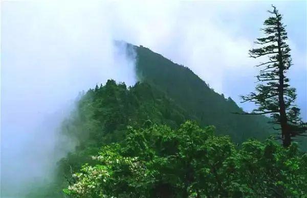 邵阳玄武岩制砂机