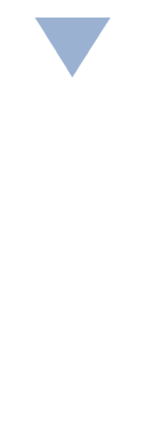严肃的意思 严肃的意思