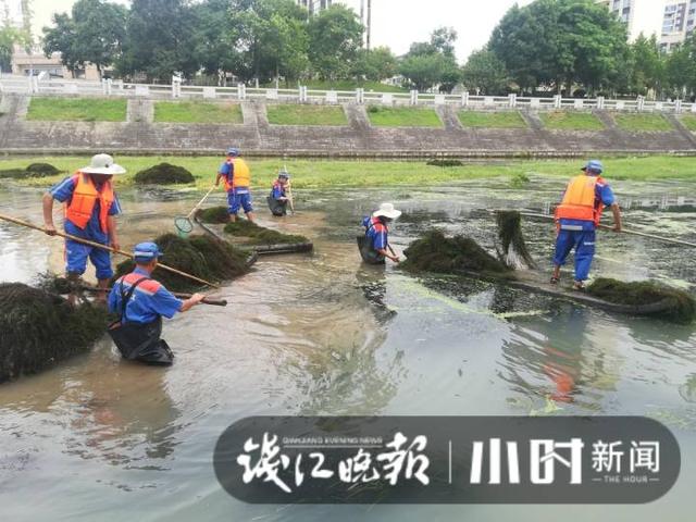 整点新闻台风直播上线，持续带来当地最新防台情况。
(图15)