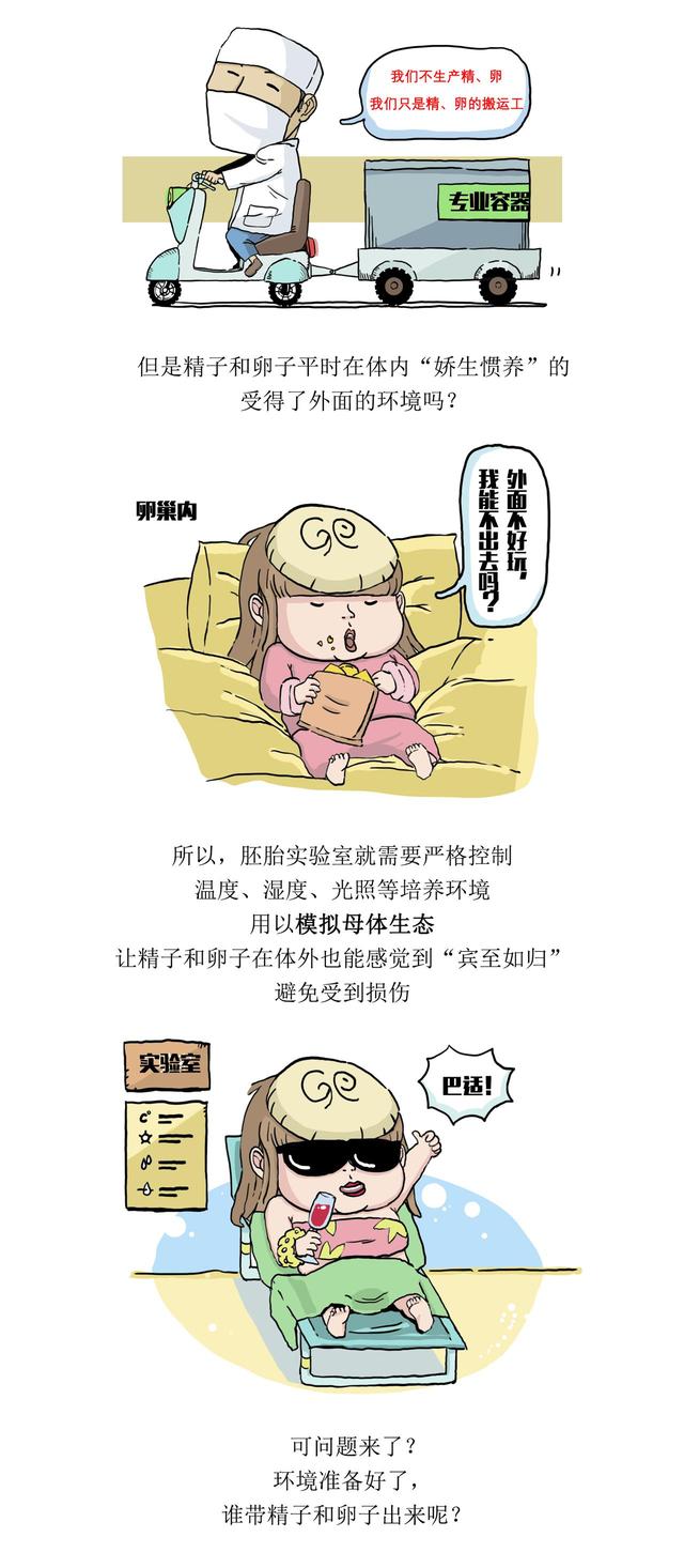 试管婴儿从哪里来？医院推出科普漫画“生殖科的故事”